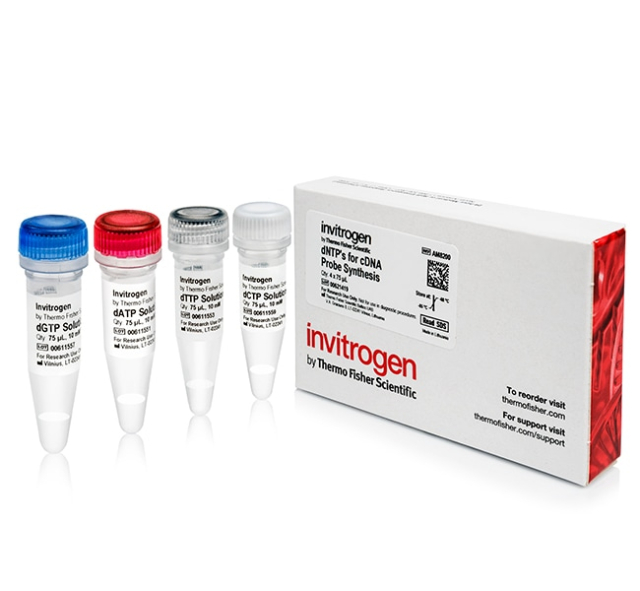 Invitrogen&amp;trade;&amp;nbsp;dNTPs for cDNA Probe Synthesis (10 mM)