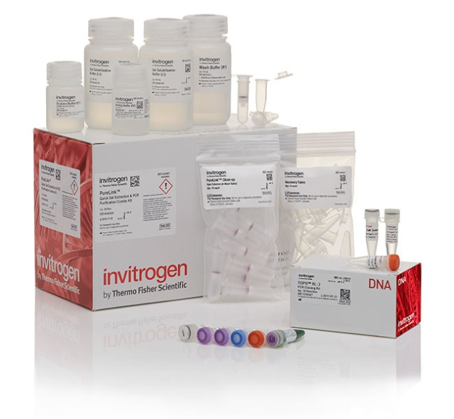 Invitrogen&amp;trade;&amp;nbsp;TOPO&amp;trade; XL-2 Complete PCR Cloning Kit, without competent cells