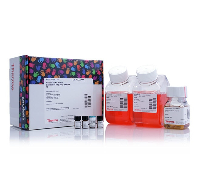 Thermo Scientific&amp;trade;&amp;nbsp;SILAC Protein Quantitation Kit (LysC), DMEM:F-12