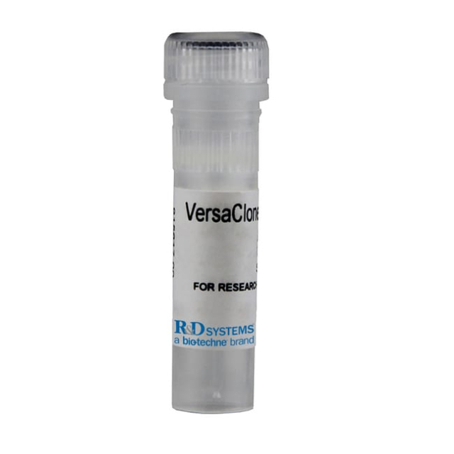 R&amp;amp;D Systems&amp;trade;&amp;nbsp;Human MGAT2 (NP_002399) VersaClone cDNA