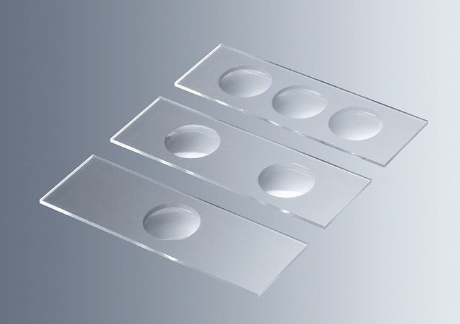 Marienfeld Superior™ Lames porte-objets à cavités