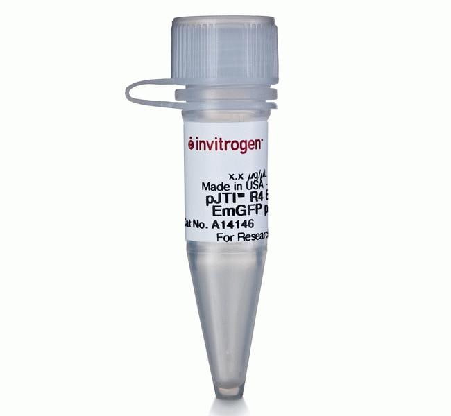 pJTI&trade; R4 Exp CMV EmGFP pA Vector
