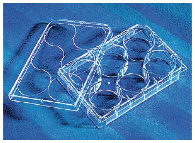 Corning&amp;trade;&amp;nbsp;Microplaques à surface CellBIND&amp;trade;