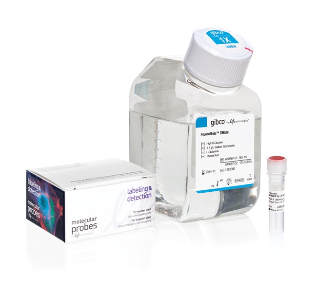 Molecular Probes&trade;&nbsp;TRA-1-60 Alexa Fluor&trade; 555 Conjugate Kit for Live Cell Imaging