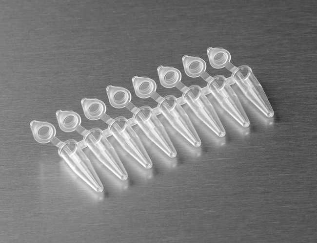 Axygen&trade;&nbsp;Barrettes de tubes PCR en polypropylène de 0,2 ml