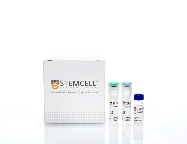 STEMCELL Technologies&nbsp;Human IgM ELISA Antibody Pair Kit