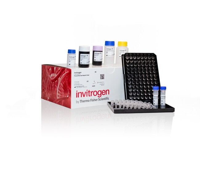 Invitrogen™ ProcartaPlex™ MAPK Pathway Dual Reporter Panel, 2x6plex