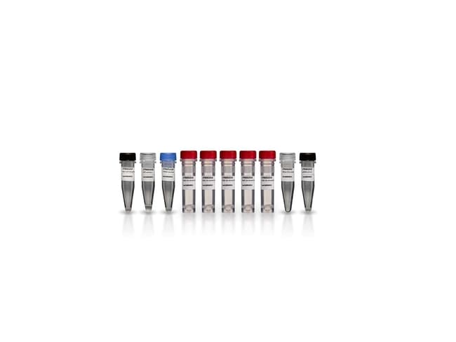 Cytiva&nbsp;Kit de synthèse d’ADNc premier brin