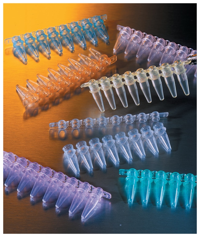 Corning&trade;&nbsp;Bandes de tube PCR 8 puits