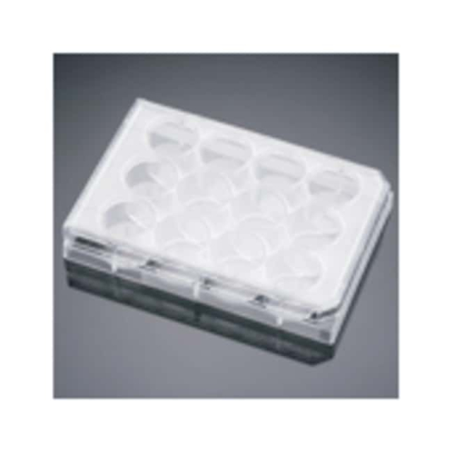 Corning&amp;trade;&amp;nbsp;Plaque multipuits en fibronectine BioCoat&amp;trade;