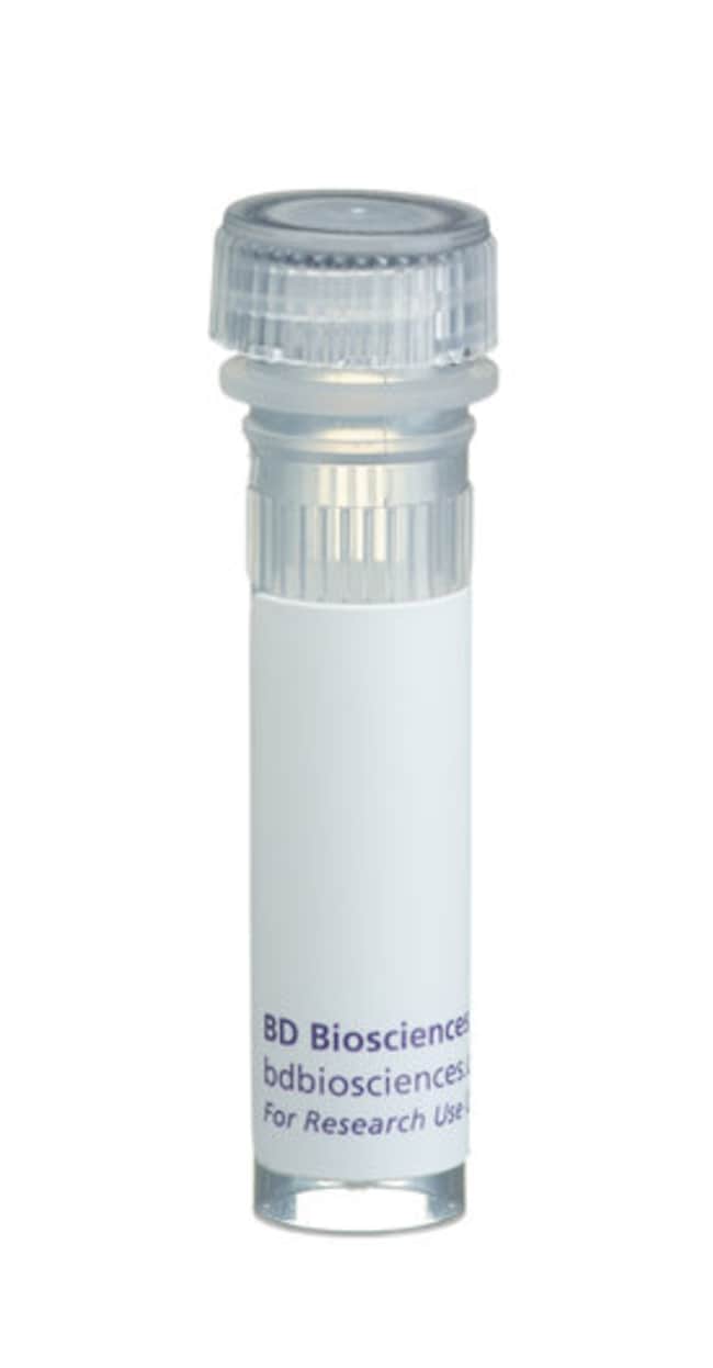 BD&nbsp;Mouse Cerebrum Lysate