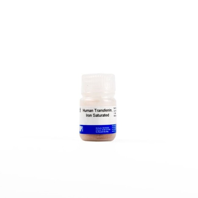 MP Biomedicals&trade;&nbsp;Facteurs de transport
