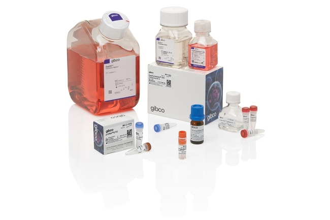 Gibco&trade;&nbsp;Kit système d’expression inductible Expi293&trade;