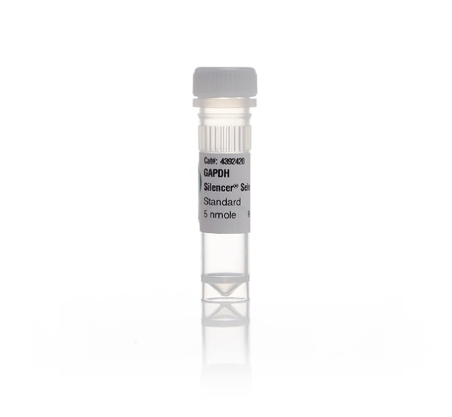 Ambion&trade;&nbsp;Silencer&trade; Pre-Designed siRNA