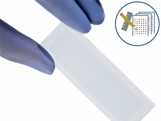 PEPperCHIP&trade;&nbsp;Microarray de peptides sur mesure