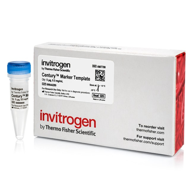 Invitrogen&amp;trade;&amp;nbsp;RNA Century&amp;trade; Marker Templates