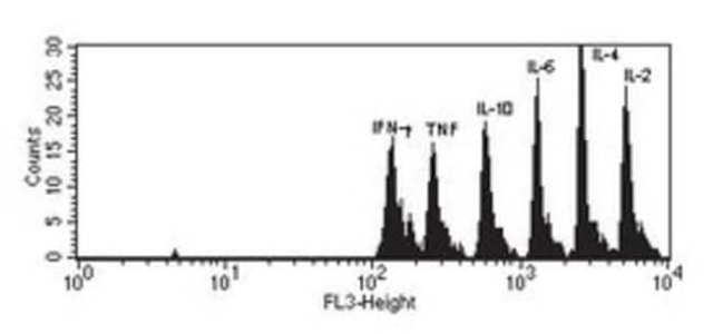 BD&amp;nbsp;Kit de cytokine humaine CBA Th1/Th2