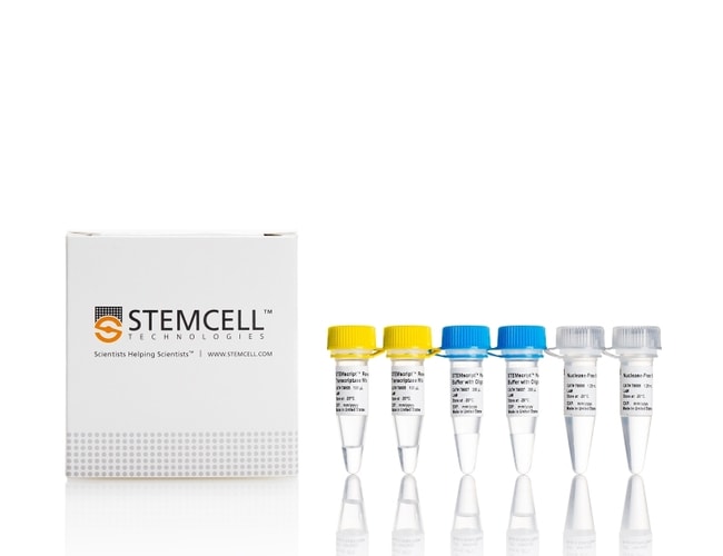 STEMCELL Technologies STEMscript™ cDNA Synthesis Kit with Random Primers