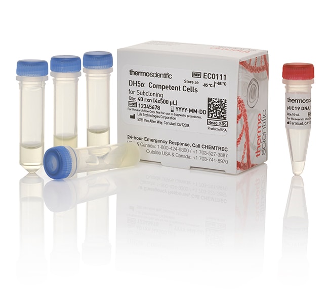 Thermo Scientific&trade;&nbsp;Cellules compétentes DH5&alpha;