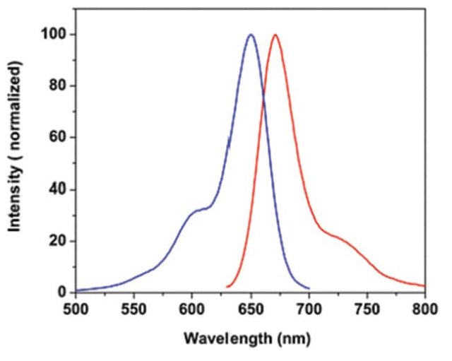 Abnova&amp;trade;&amp;nbsp;Colorant fluorescent Amine 649-C5