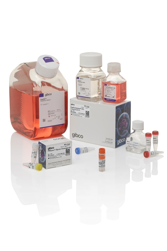 Gibco&trade;&nbsp;Kit système d’expression GnTI- Expi293&trade;