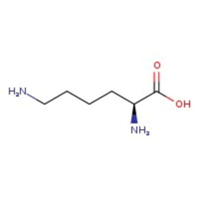  Thermo Scientific Chemicals L-lysine, 98 %