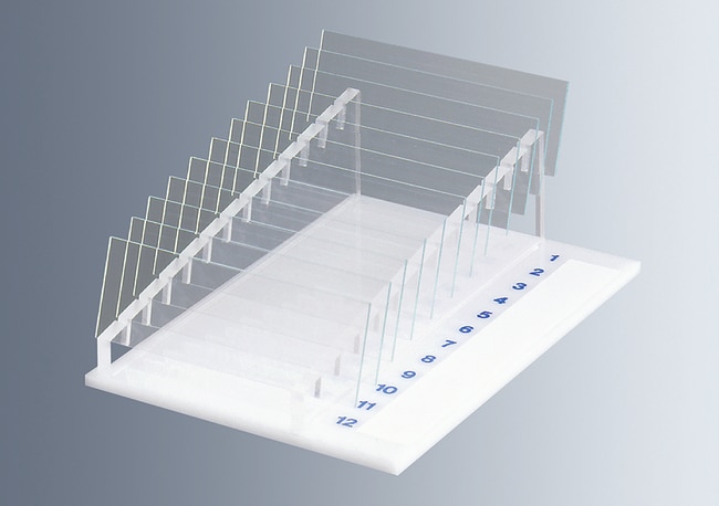 Marienfeld Superior™ Supports pour 12 lames porte-objets