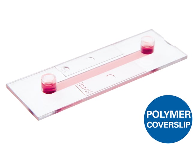 ibidi μ-Slide I 0.2 Luer Uncoated