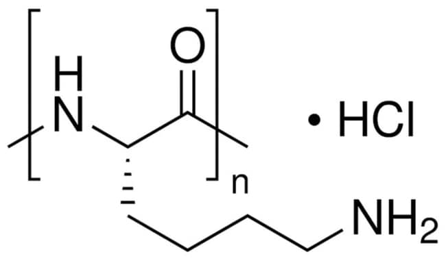 MP Biomedicals&trade;&nbsp;Poly-L-Lysine Hydrochloride