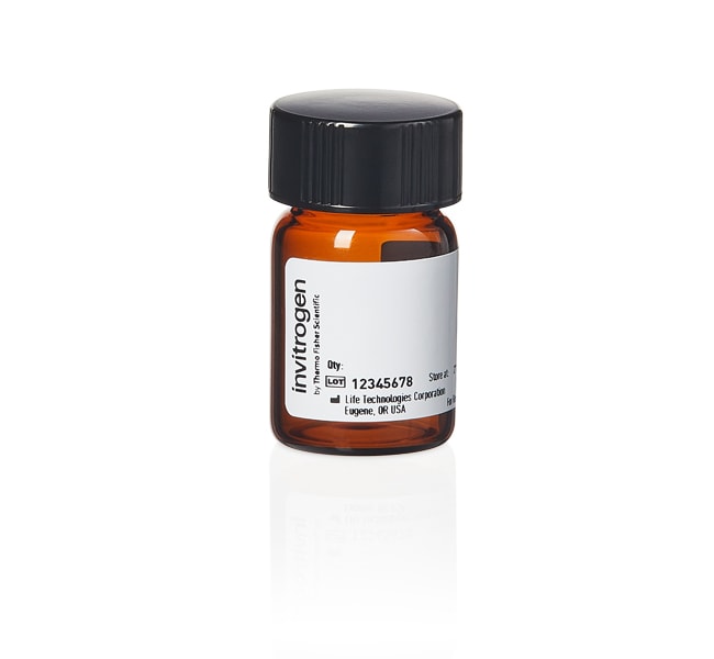 Invitrogen&trade;&nbsp;Tetramethylrhodamine Cadaverine, 5-(and-6)-((<i>N</i>-(5-Aminopentyl) Amino) Carbonyl) Tetramethylrhodamine, mixed isomers