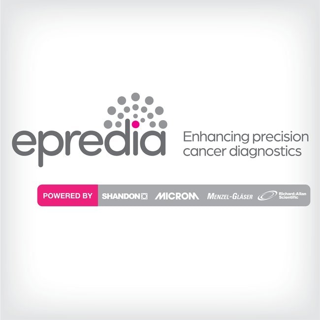 Epredia™ Système de détection : Polymère HRP / Chromogène DAB Lab Vision™ UltraVision™ LP polymère AP (prêt à l’emploi)