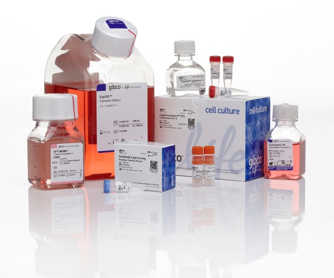 Gibco&trade;&nbsp;Expi293&trade; Expression System Kit