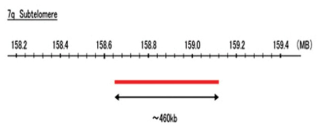 Abnova&amp;trade;&amp;nbsp;Sonde FISH 7q subtélomère (DEAC)