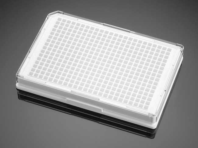 Falcon&trade;&nbsp;Microplaque à 384 puits à fond plat traitée pour la culture cellulaire