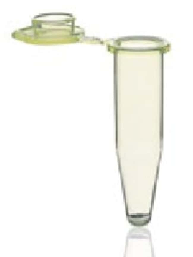 BRAND&trade;&nbsp;Tubes PCR à paroi fine de 0,5 ml, avec bouchons fixés