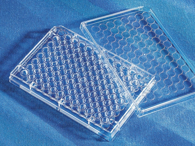 Axygen&trade;&nbsp;Plaque DeepWell à 96 puits en PP