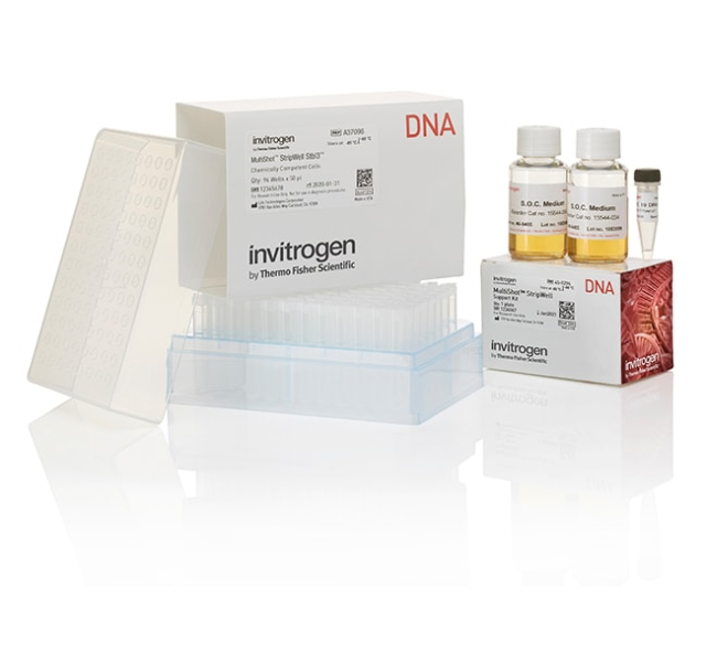 Invitrogen&amp;trade;&amp;nbsp;Cellules compétentes MultiShot&amp;trade; StripWell Stbl3&amp;trade;