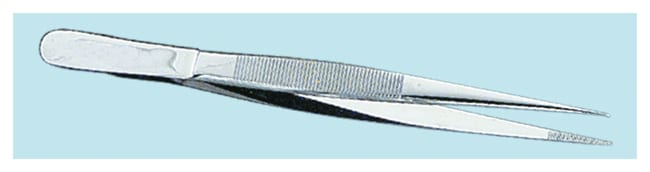 Epredia™ Forceps à cartilage droit Shandon™, droit, standard, 12,7 cm (5 po)