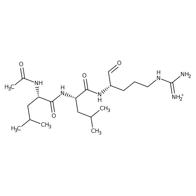  Thermo Scientific Chemicals Hemisulfate de leupeptine