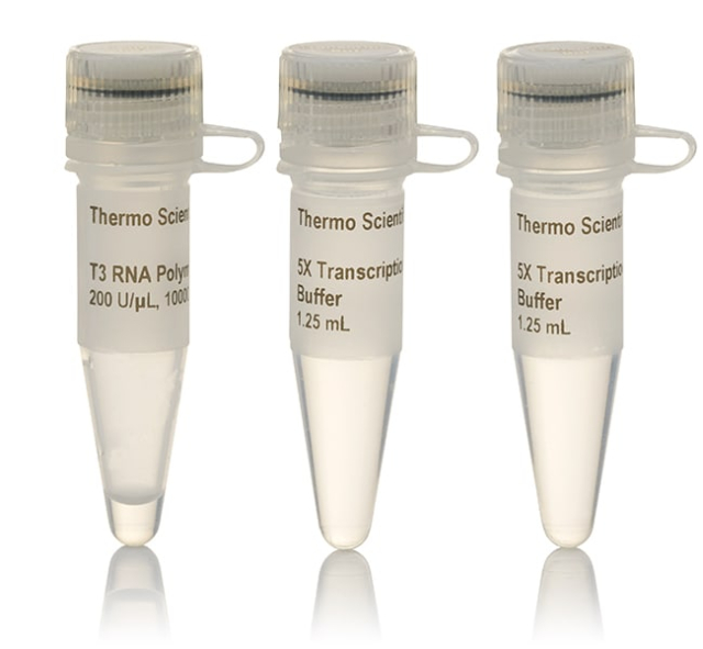 Thermo Scientific&amp;trade;&amp;nbsp;T3 RNA Polymerase, HC (&amp;ge;100 U/&amp;mu;L)