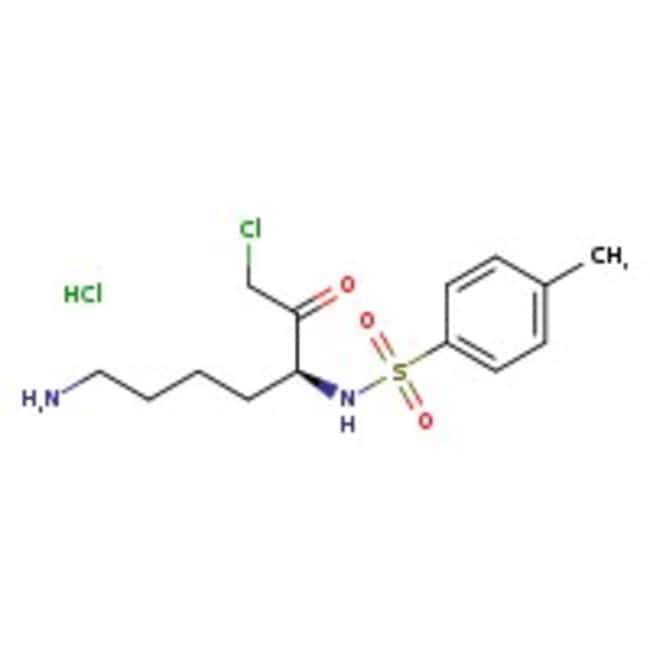 Chlorhydrate de chlorométhylcétone de Nalpha-(p-Toluenesulfonyle)-DL-lysine, 98 %, Thermo Scientific Chemicals