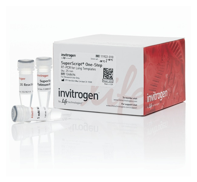 Invitrogen&amp;trade;&amp;nbsp;Système RT-PCR en une étape Platinum&amp;trade; SuperScript&amp;trade; pour modèles longs