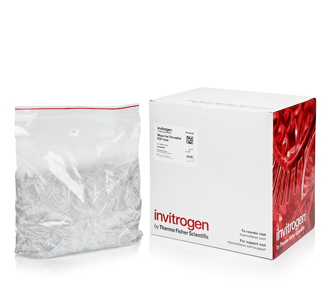Invitrogen&trade;&nbsp;Tubes PCR à paroi fine, bouchon bombé, exempts de RNase (0,5 mL)