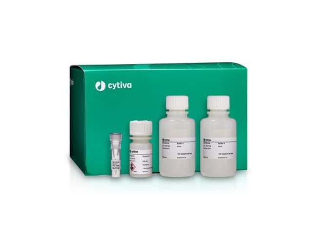 Cytiva&nbsp;Cold Dissociation Enzyme Mix - Kidney