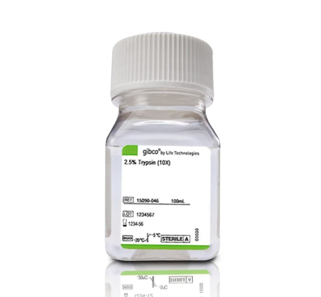 Gibco&amp;trade;&amp;nbsp;Trypsine (2,5 %), sans rouge de phénol