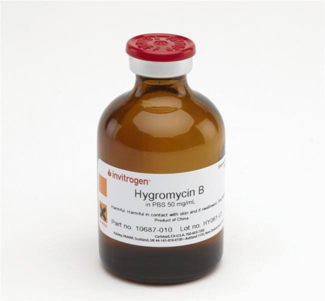 Gibco&amp;trade;&amp;nbsp;Hygromycine B (50 mg/ml)