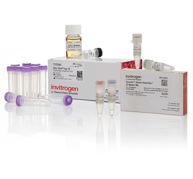 Invitrogen&amp;trade;&amp;nbsp;GeneArt&amp;trade; Gibson Assembly EX Cloning Kit, chemically competent cells