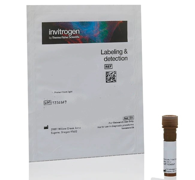 Invitrogen&amp;trade;&amp;nbsp;Agglutinine de Lens Culinaris (lentille comestible) (LCA), fluorescéine (FITC)