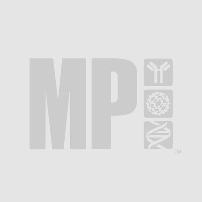 MP Biomedicals&trade;&nbsp;Collagen Type I from Calf Skin