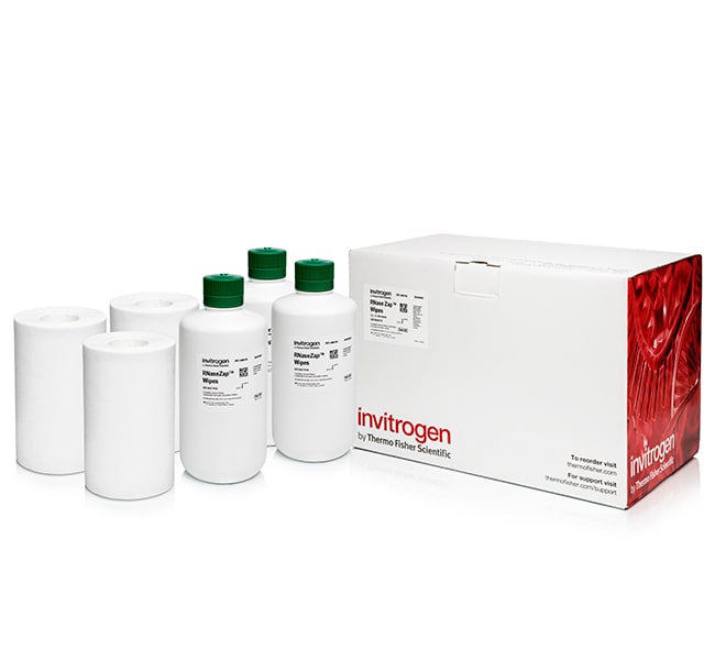 Invitrogen™ Recharge de lingettes de décontamination aux RNases RNase<i>Zap</i>™